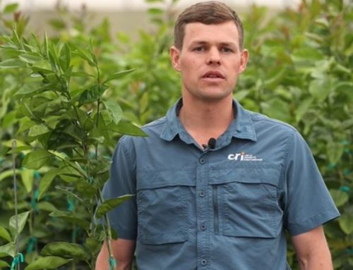 Michael Nell joins the ISCN team!