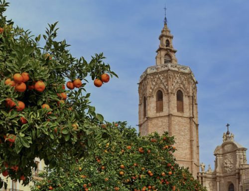 ISCN in Spain 2028