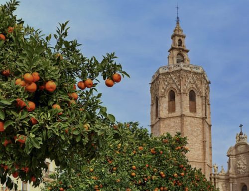 ISCN in Spain 2028